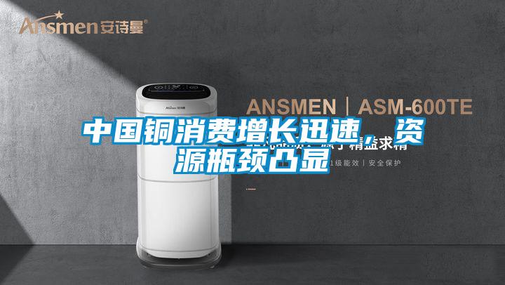 中國銅消費增長迅速，資源瓶頸凸顯