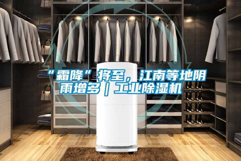 “霜降”將至，江南等地陰雨增多｜工業(yè)除濕機