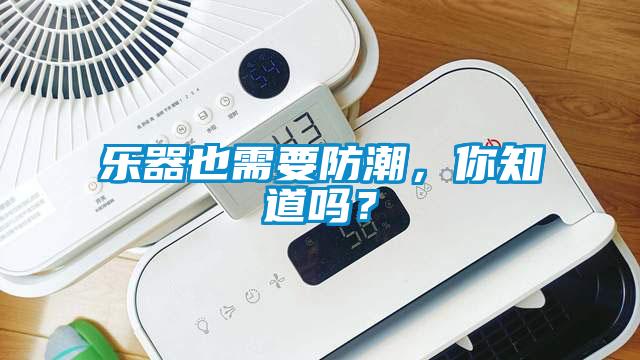 樂器也需要防潮，你知道嗎？