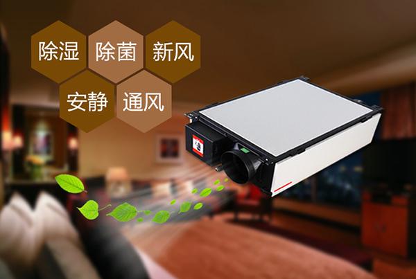 制作花紙的車間倉庫，用工業(yè)除濕機(jī)顯得尤為重要