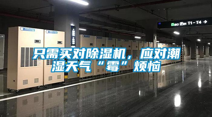 只需買對除濕機,應對潮濕天氣“霉”煩惱