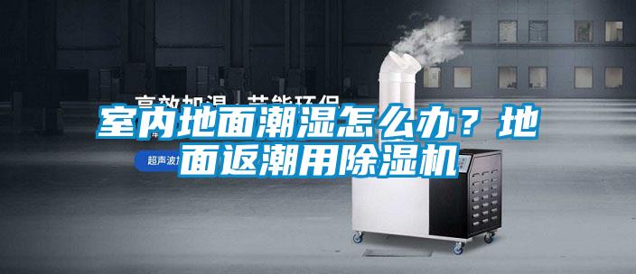 室內(nèi)地面潮濕怎么辦？地面返潮用除濕機