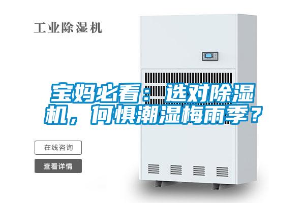 寶媽必看：選對除濕機，何懼潮濕梅雨季？