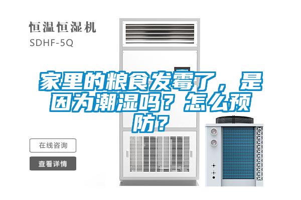家里的糧食發(fā)霉了，是因為潮濕嗎？怎么預防？