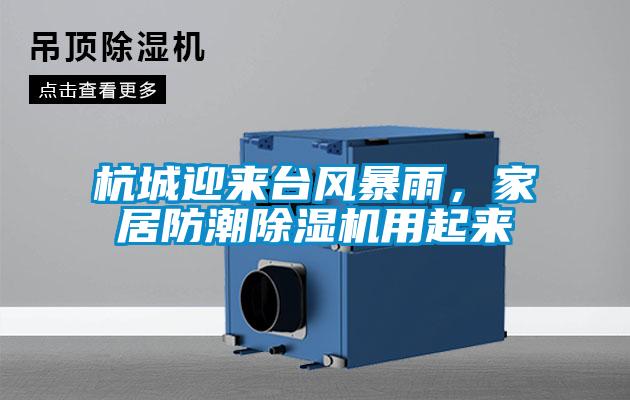 杭城迎來臺(tái)風(fēng)暴雨，家居防潮除濕機(jī)用起來
