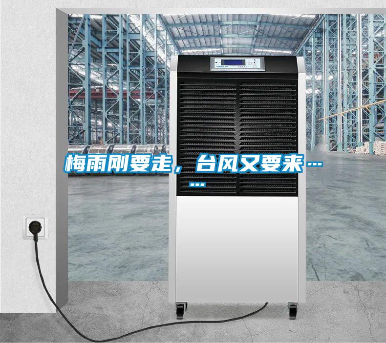 梅雨剛要走,臺風又要來……