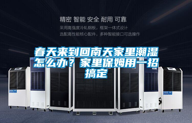 春天來(lái)到回南天家里潮濕怎么辦？家里保姆用一招搞定