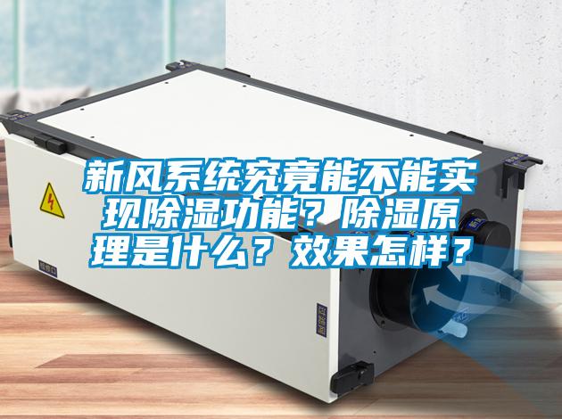 新風系統究竟能不能實現除濕功能?除濕原理是什么?效果怎樣?