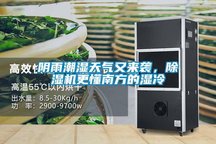 陰雨潮濕天氣又來襲，除濕機更懂南方的濕冷