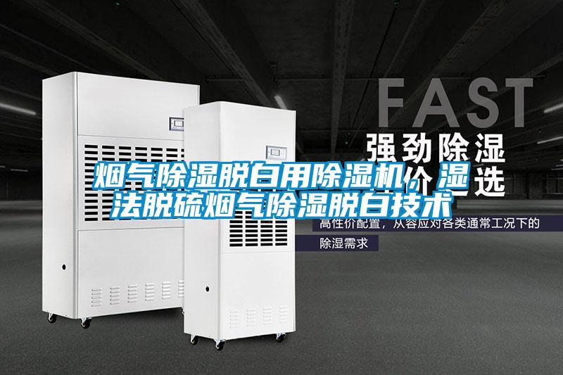 煙氣除濕脫白用除濕機，濕法脫硫煙氣除濕脫白技術(shù)