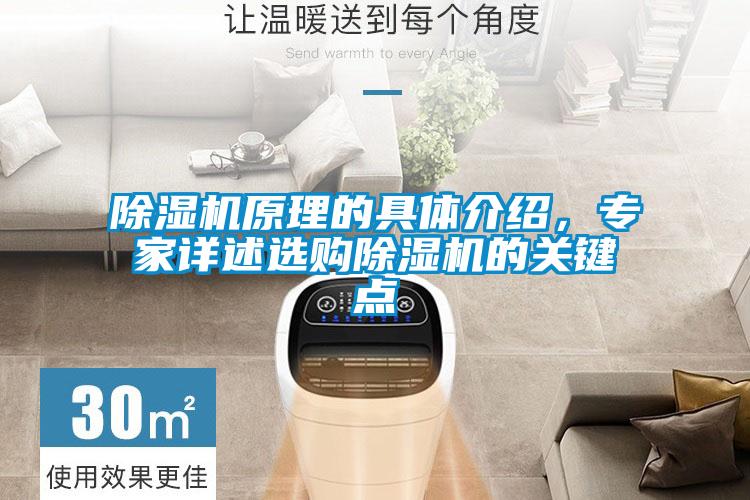除濕機原理的具體介紹，專家詳述選購除濕機的關鍵點