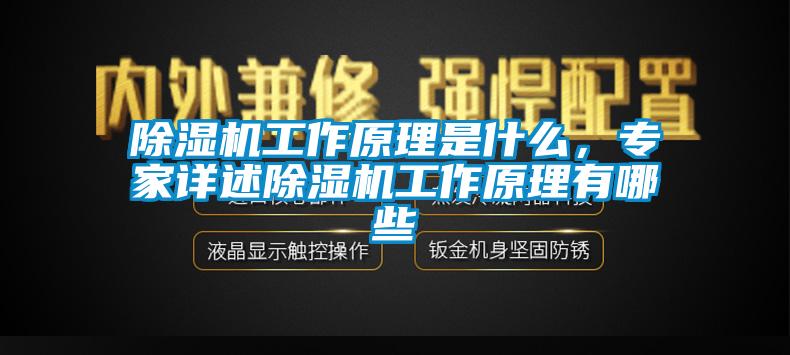 除濕機工作原理是什么，專家詳述除濕機工作原理有哪些