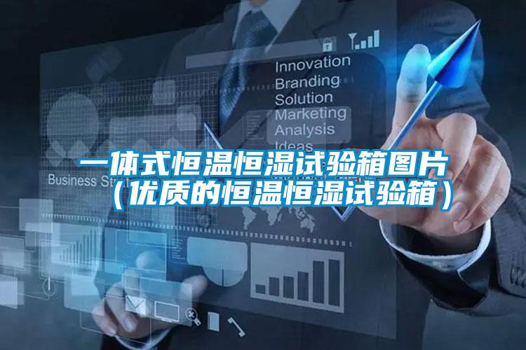 一體式恒溫恒濕試驗箱圖片（優(yōu)質(zhì)的恒溫恒濕試驗箱）