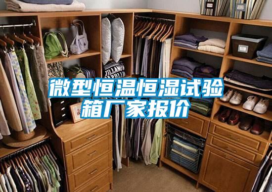 微型恒溫恒濕試驗(yàn)箱廠(chǎng)家報(bào)價(jià)
