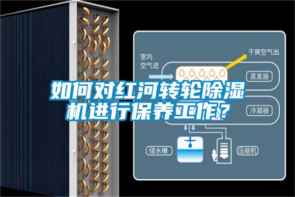 如何對紅河轉輪除濕機進行保養工作？