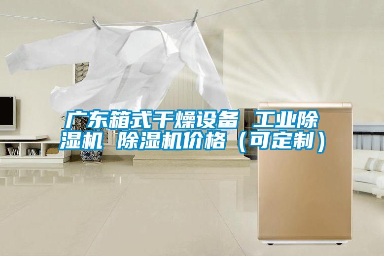 廣東箱式干燥設備 工業除濕機 除濕機價格（可定制）