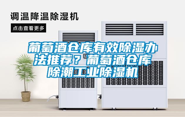 葡萄酒倉庫有效除濕辦法推薦?葡萄酒倉庫除潮工業除濕機