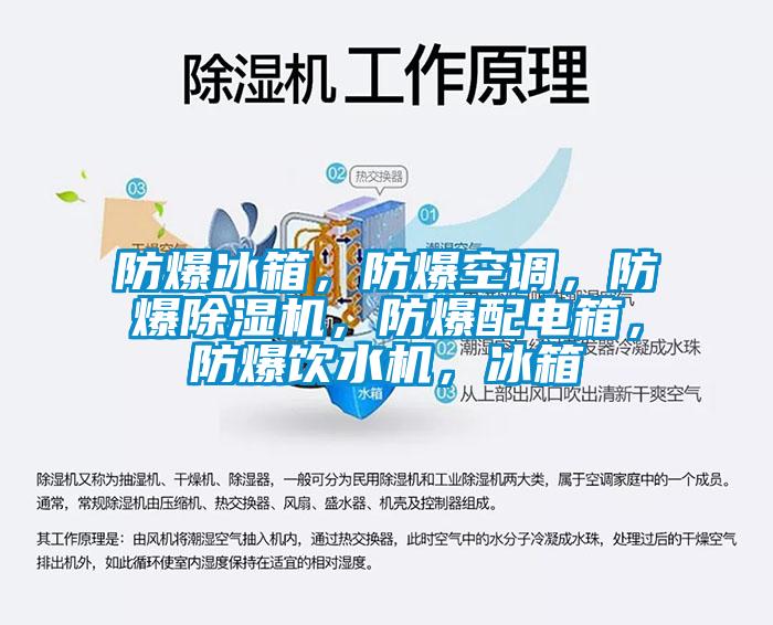 防爆冰箱，防爆空調，防爆除濕機，防爆配電箱，防爆飲水機，冰箱