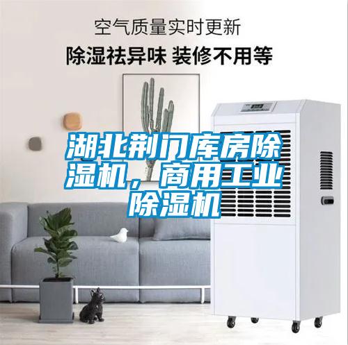 湖北荊門庫房除濕機，商用工業除濕機