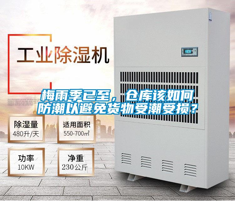 梅雨季已至，倉庫該如何防潮以避免貨物受潮受損？