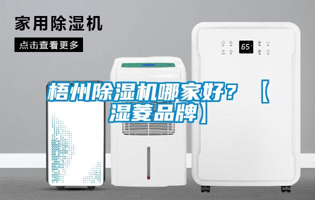梧州除濕機(jī)哪家好？【濕菱品牌】