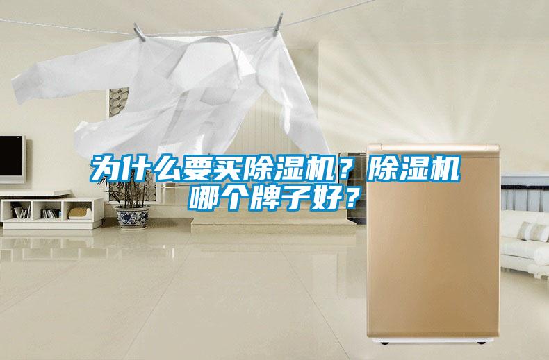 為什么要買(mǎi)除濕機(jī)？除濕機(jī)哪個(gè)牌子好？