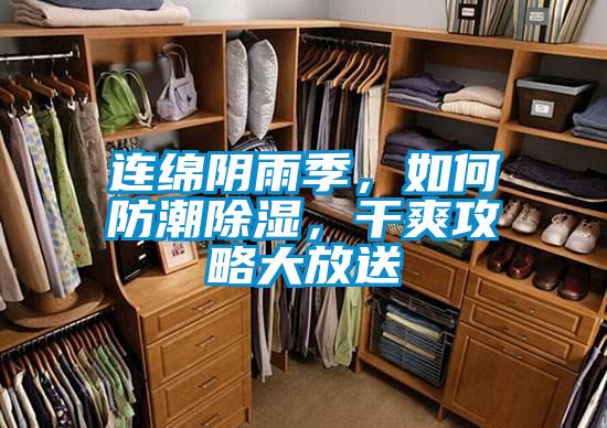 連綿陰雨季，如何防潮除濕，干爽攻略大放送