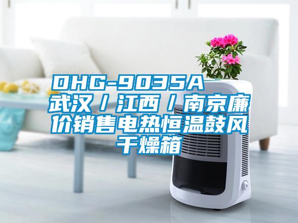 DHG-9035A   武漢／江西／南京廉價(jià)銷(xiāo)售電熱恒溫鼓風(fēng)干燥箱
