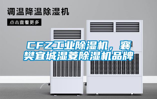 CFZ工業除濕機，襄樊宜城濕菱除濕機品牌
