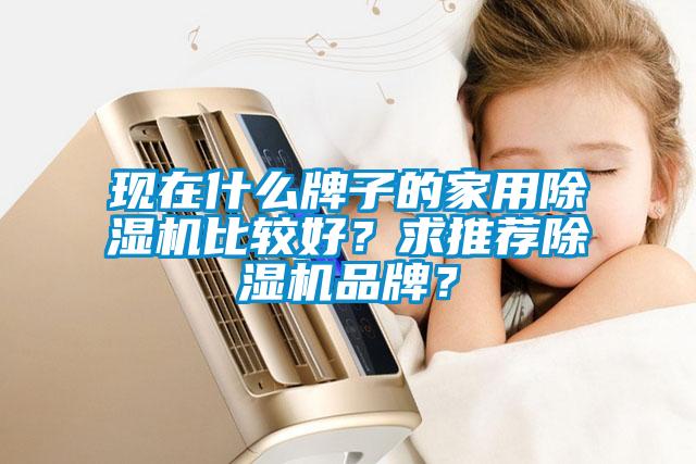 現(xiàn)在什么牌子的家用除濕機比較好？求推薦除濕機品牌？