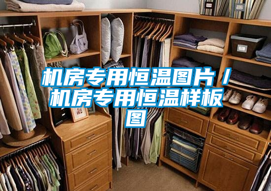 機(jī)房專用恒溫圖片/機(jī)房專用恒溫樣板圖