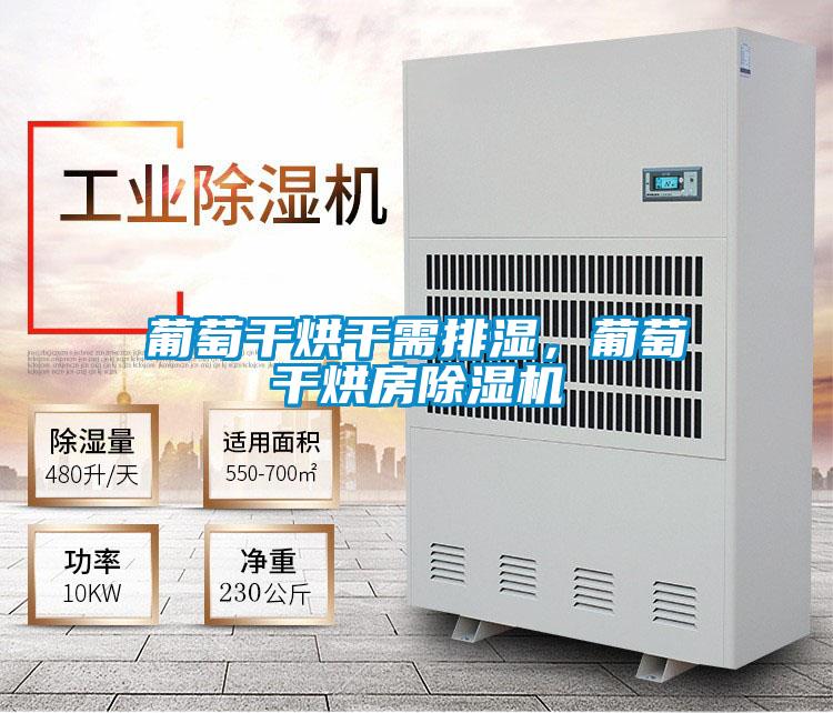 葡萄干烘干需排濕，葡萄干烘房除濕機