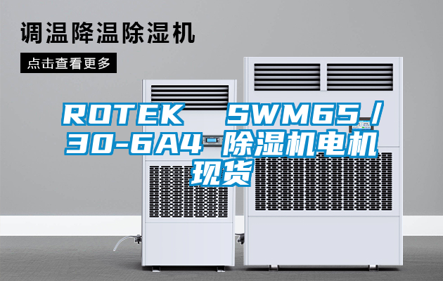 ROTEK SWM65/30-6A4 除濕機電機現(xiàn)貨