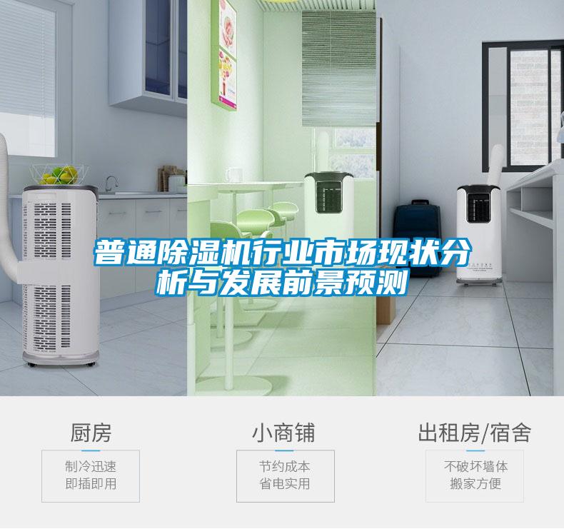 普通除濕機行業(yè)市場現(xiàn)狀分析與發(fā)展前景預(yù)測
