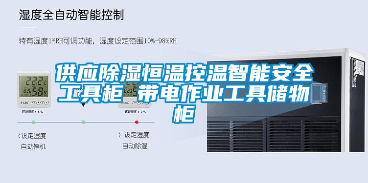供應除濕恒溫控溫智能安全工具柜 帶電作業工具儲物柜