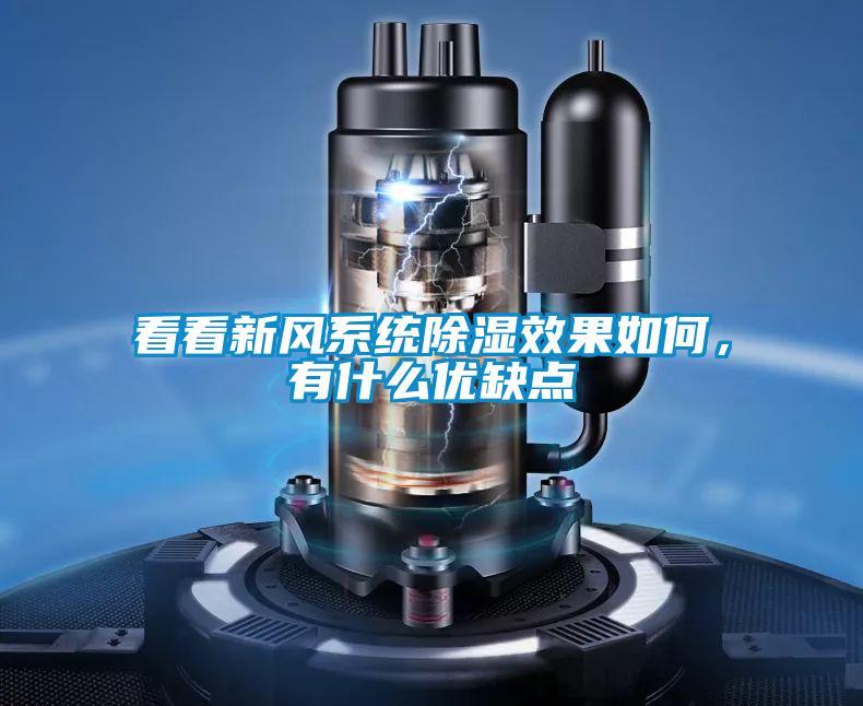 看看新風(fēng)系統(tǒng)除濕效果如何，有什么優(yōu)缺點