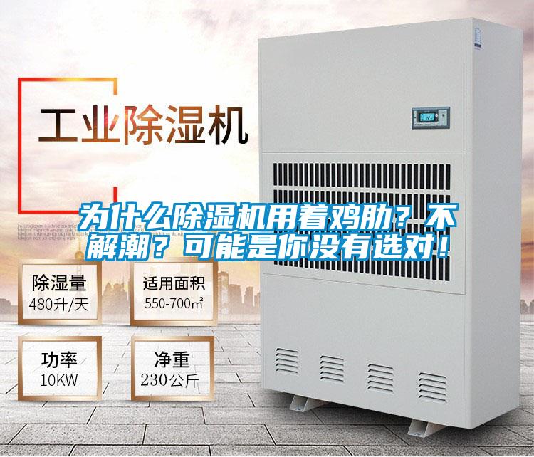 為什么除濕機用著雞肋？不解潮？可能是你沒有選對！