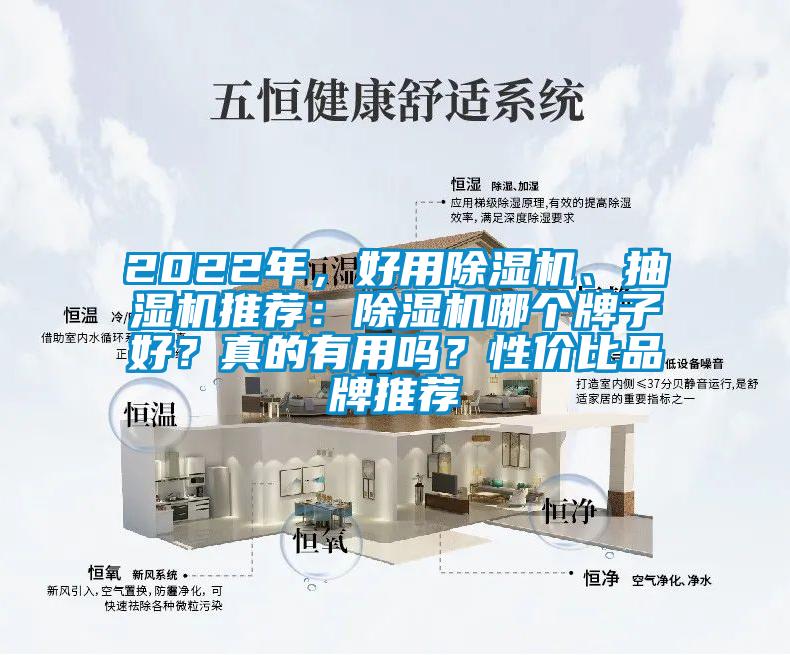 2022年，好用除濕機、抽濕機推薦：除濕機哪個牌子好？真的有用嗎？性價比品牌推薦
