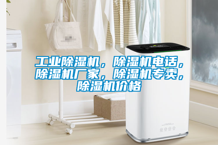 工業(yè)除濕機，除濕機電話，除濕機廠家，除濕機專賣，除濕機價格