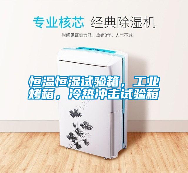 恒溫恒濕試驗箱，工業烤箱，冷熱沖擊試驗箱