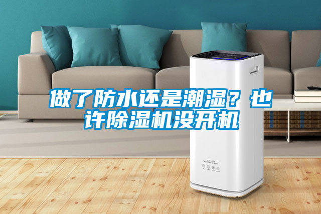 做了防水還是潮濕？也許除濕機沒開機