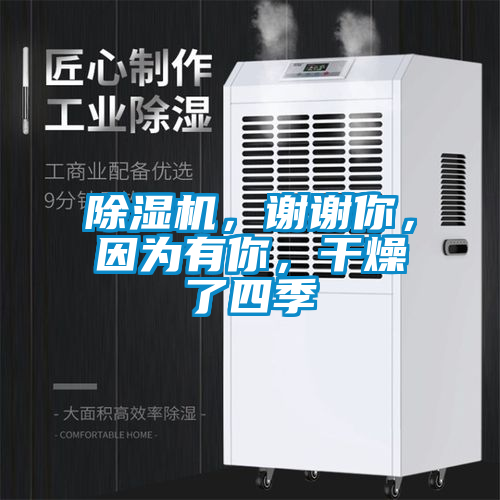 除濕機(jī)，謝謝你，因?yàn)橛心悖稍锪怂募?/></p>
						    <p style=