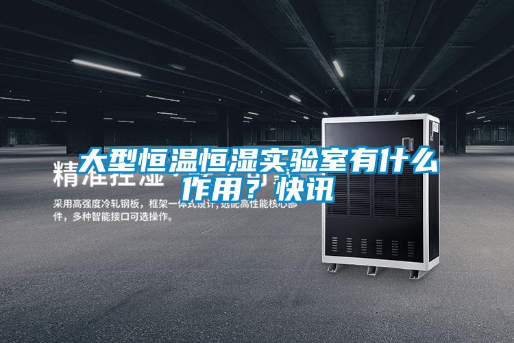 大型恒溫恒濕實驗室有什么作用？快訊