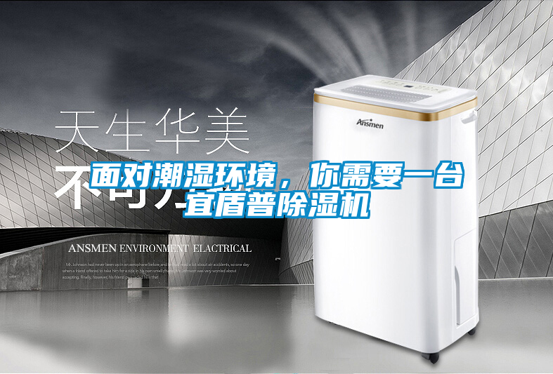 面對(duì)潮濕環(huán)境，你需要一臺(tái)宜盾普除濕機(jī)