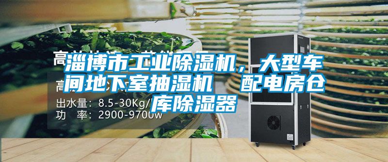 淄博市工業除濕機，大型車間地下室抽濕機  配電房倉庫除濕器