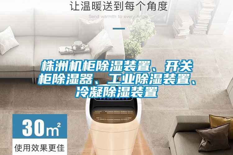 株洲機柜除濕裝置、開關柜除濕器、工業除濕裝置、冷凝除濕裝置