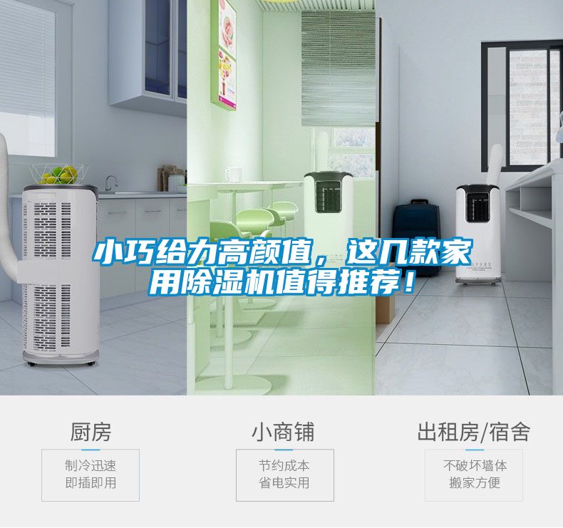 小巧給力高顏值，這幾款家用除濕機(jī)值得推薦！
