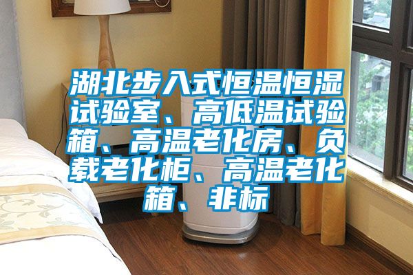 湖北步入式恒溫恒濕試驗室、高低溫試驗箱、高溫老化房、負載老化柜、高溫老化箱、非標