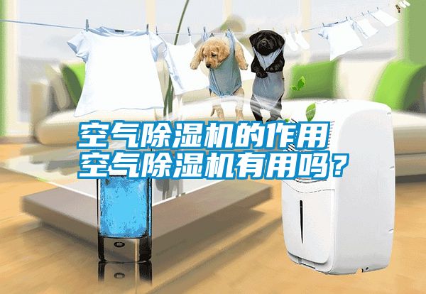 空氣除濕機的作用 空氣除濕機有用嗎？