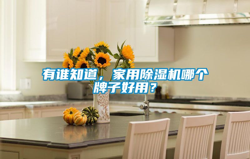 有誰知道，家用除濕機哪個牌子好用？